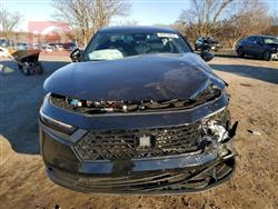 هوندا أكورد